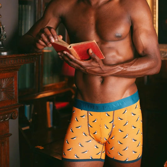Bamboo Boxers - Puffins Underwear Swole Panda