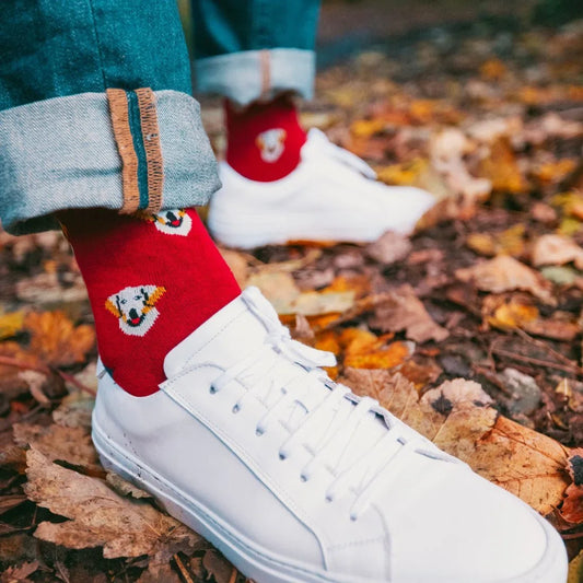 Retriever Bamboo Socks Socks Swole Panda