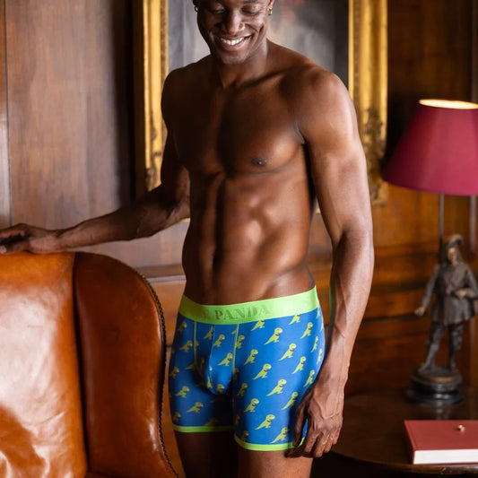 Bamboo Boxers - T-Rex Underwear Swole Panda