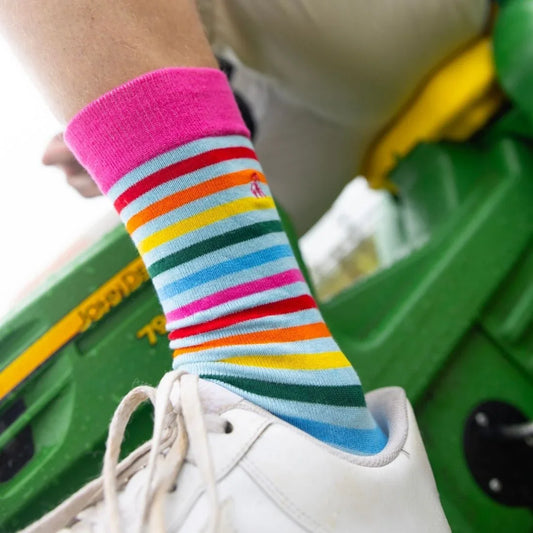 Pastel Striped Bamboo Socks Socks Swole Panda