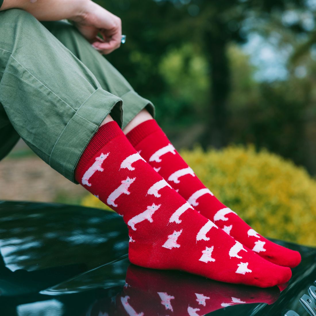 Pig Bamboo Socks Socks Swole Panda