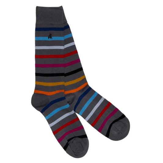 Narrow Stripe Sock Bundle - Four Pairs Sock Gift Box Swole Panda