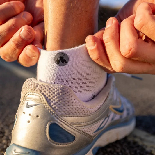 White Performance Trainer Socks Socks Swole Panda