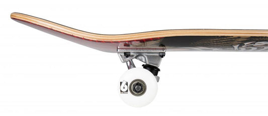Birdhouse Complete Stage 1 Hawk Icon 31.5" Skateboard