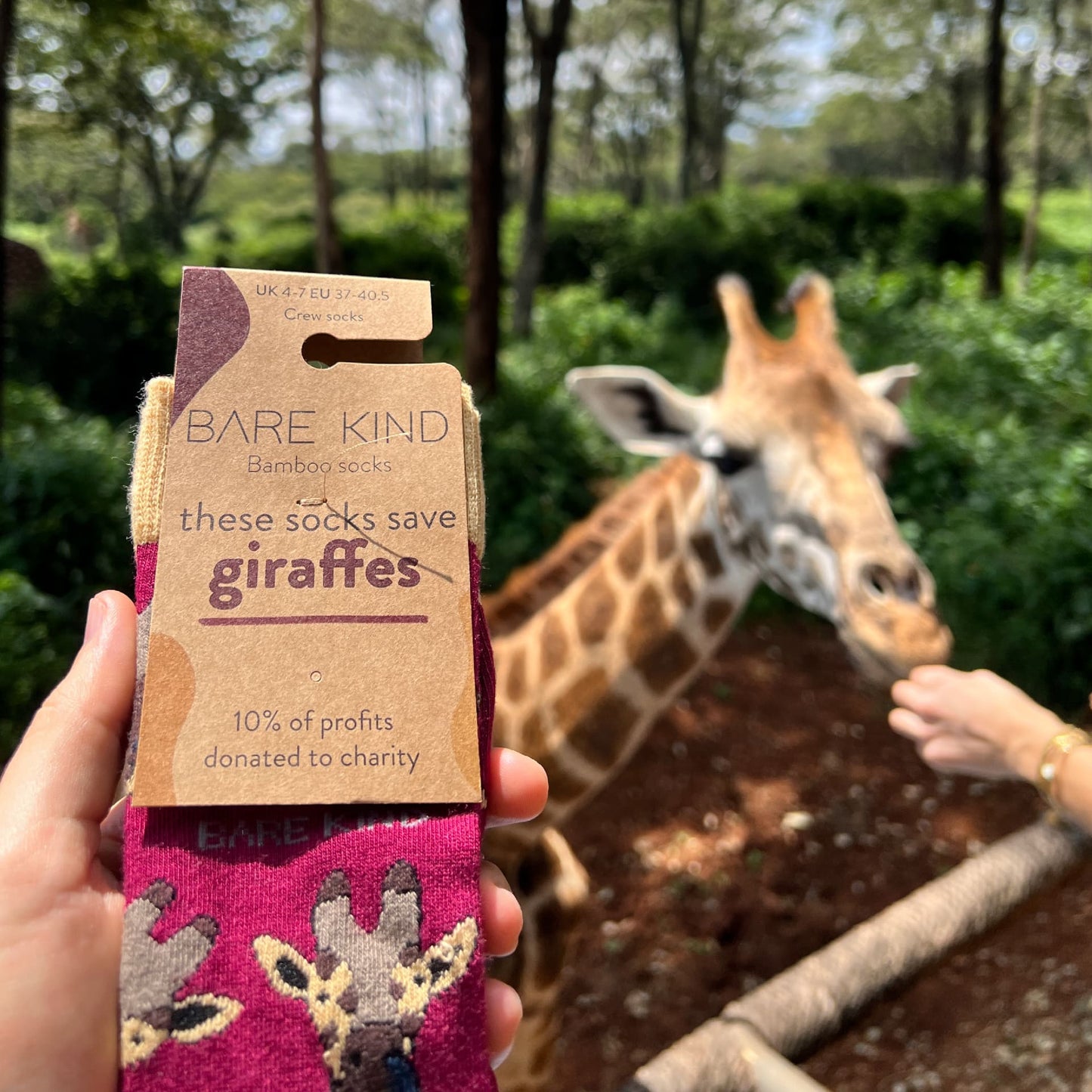 Safari Giants 2 Pack Bamboo Sock Set Socks Bare Kind
