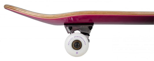 Rocket Skateboards 31" Complete Skateboard Double Dip Purple 7.75" Double Kick Rocket