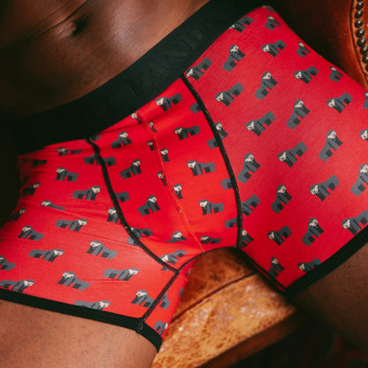 Bamboo Boxers - Gorillas Underwear Swole Panda
