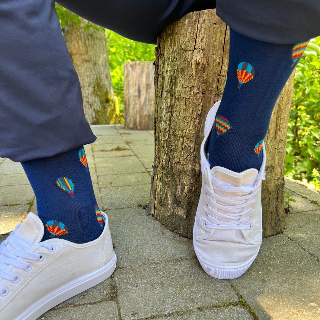 Hot Air Balloon Bamboo Socks Socks Swole Panda