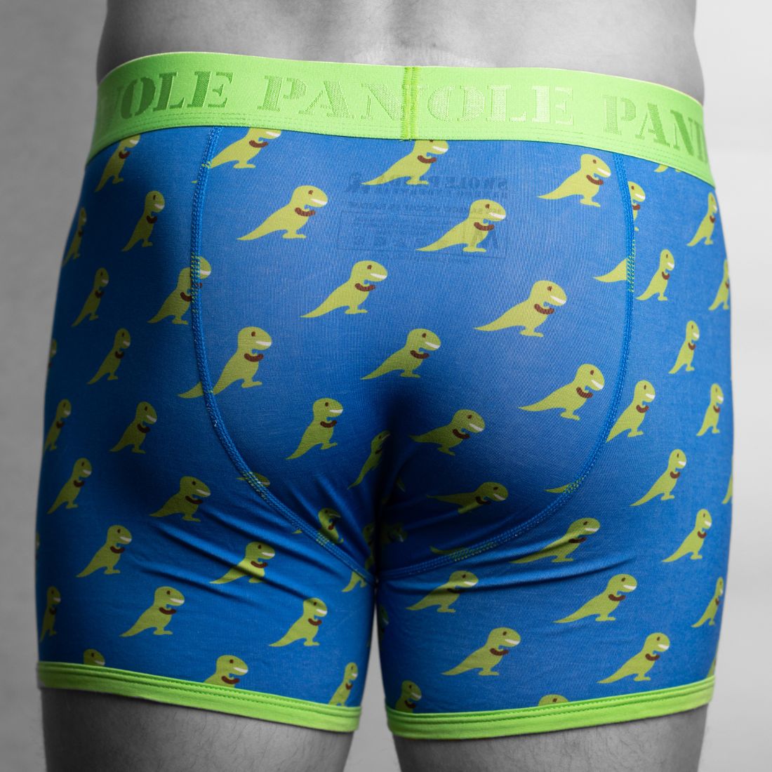 Bamboo Boxers - T-Rex Underwear Swole Panda