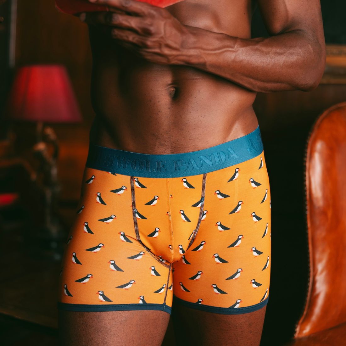 Bamboo Boxers - Puffins Underwear Swole Panda