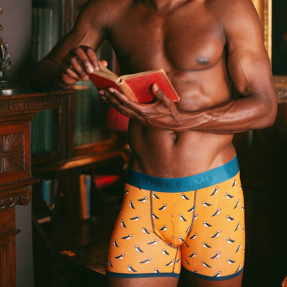 Bamboo Boxers - Puffins Underwear Swole Panda