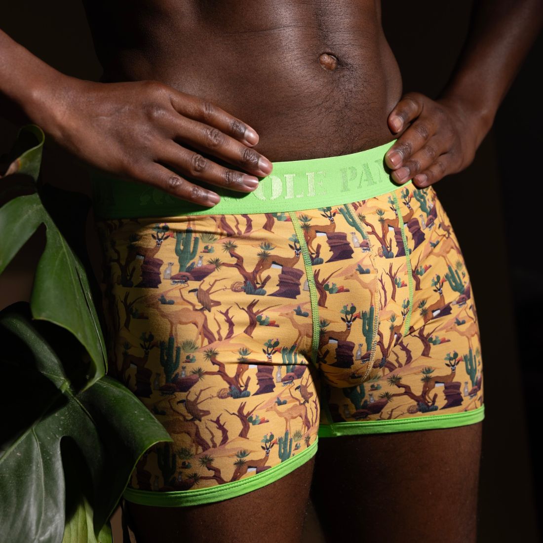 Bamboo Boxers - Savannah Underwear Swole Panda