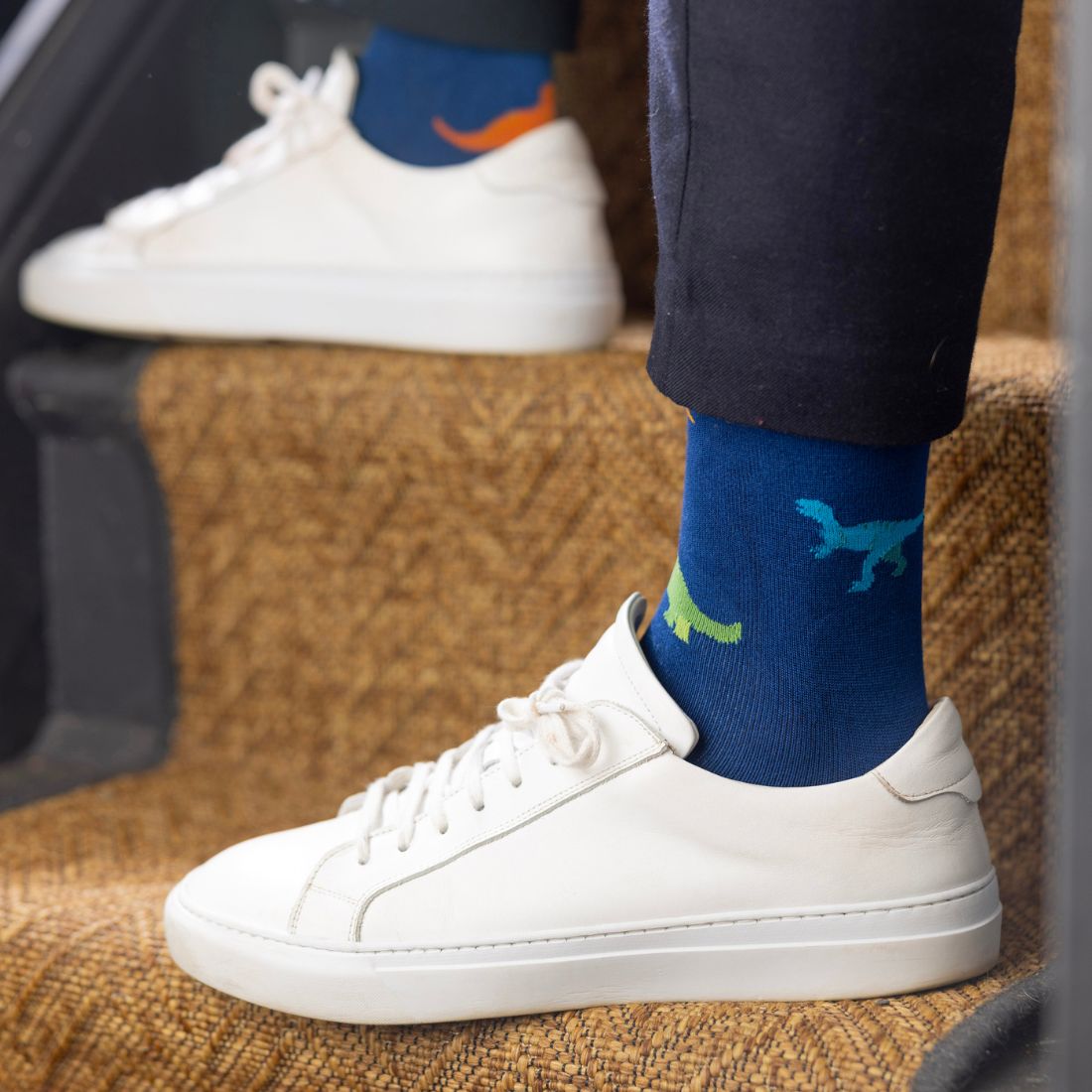 Dinosaur Bamboo Socks Socks Swole Panda