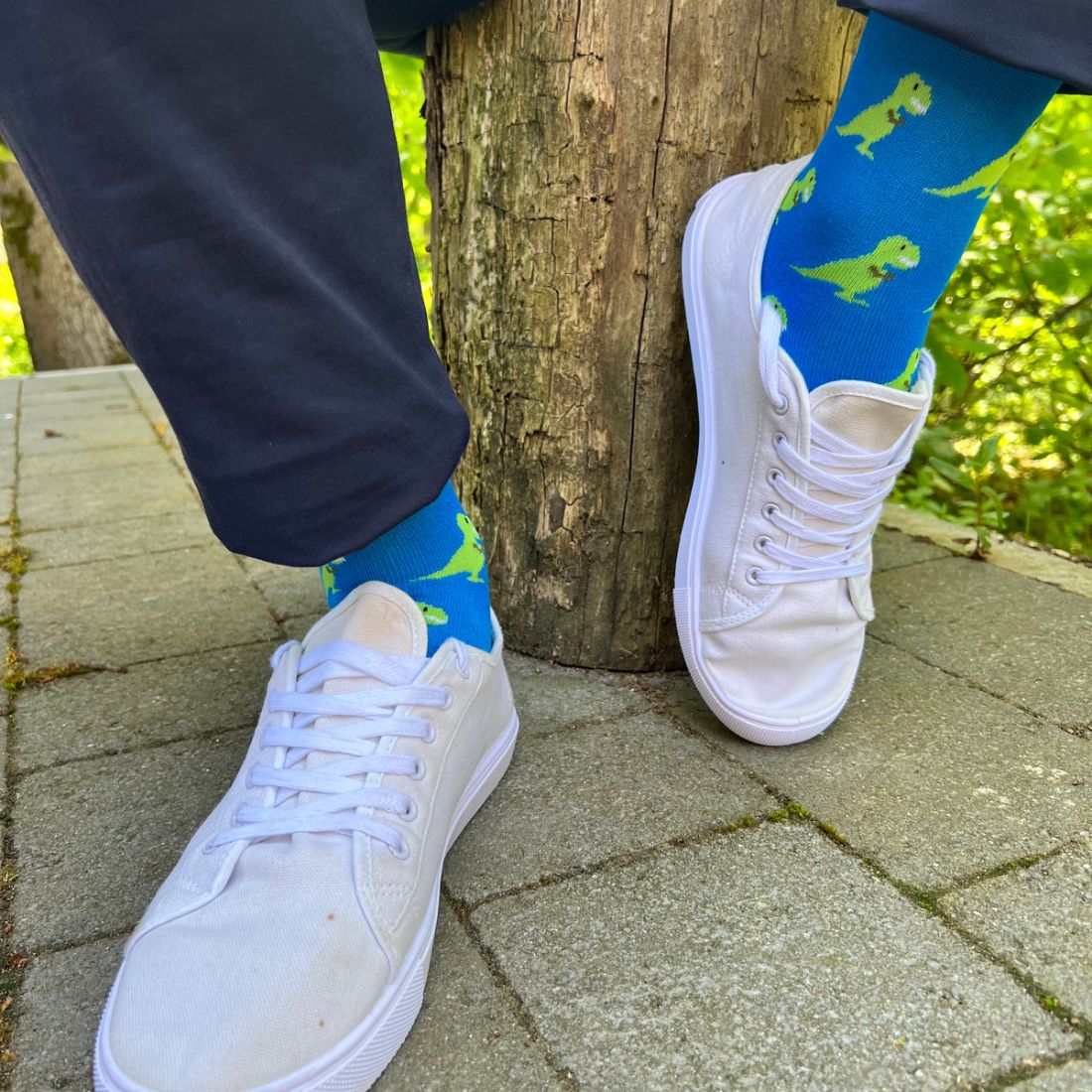 T-Rex Bamboo Socks Socks Swole Panda