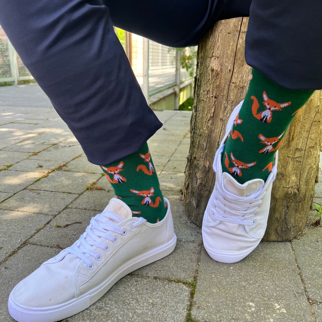 Mr Fox Bamboo Socks Socks Swole Panda