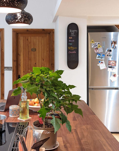 Venom Skateboards Kids Matt Black Chalkboard / Message Board / Bedroom Door Sign Skateboard Deck With Chalk Pack art kit, Deck Venom Skateboards