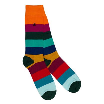 Narrow Stripe Sock Bundle - Four Pairs Sock Gift Box Swole Panda