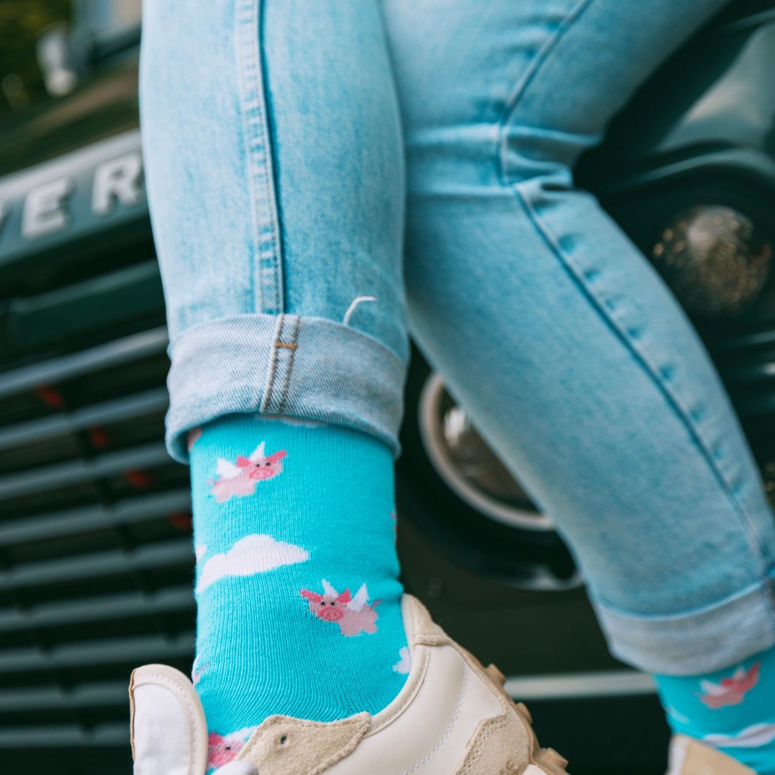 Flying Pig Bamboo Socks Socks Swole Panda