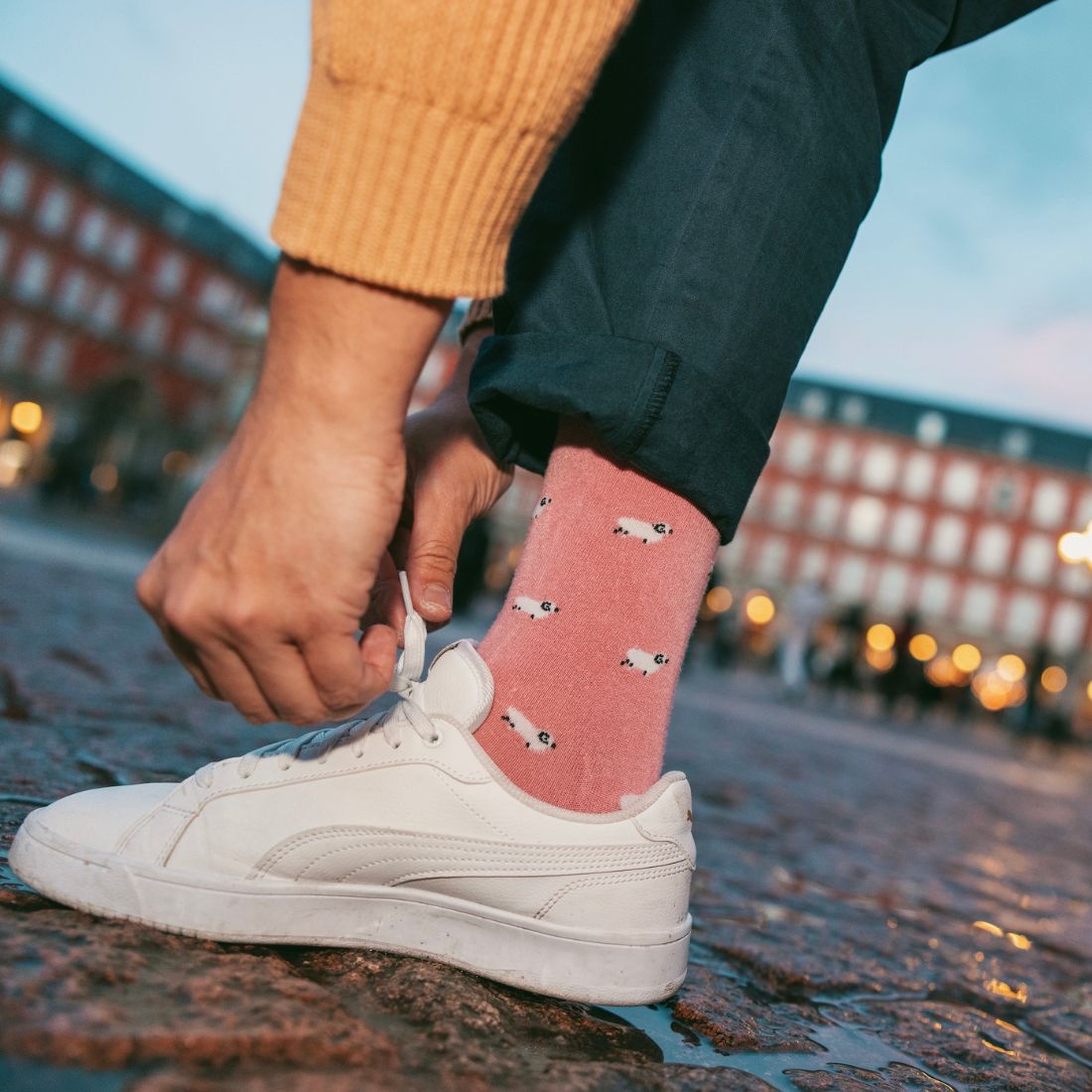 Sheep Bamboo Socks Socks Swole Panda