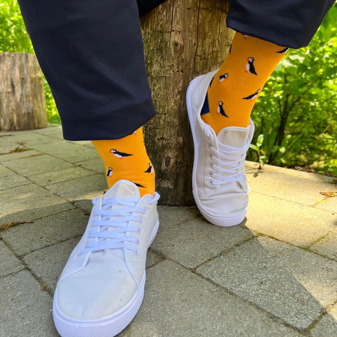 Puffin Bamboo Socks Socks Swole Panda