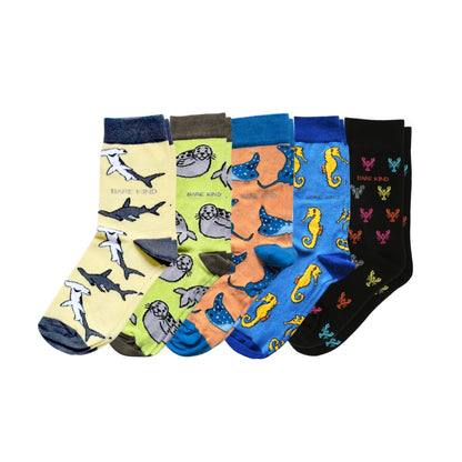 Ocean Rainbow 5 Pack Bamboo Sock Set Socks Bare Kind