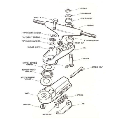 Carver Skateboards - C7 - Truck Arm Skateboard Parts Carver