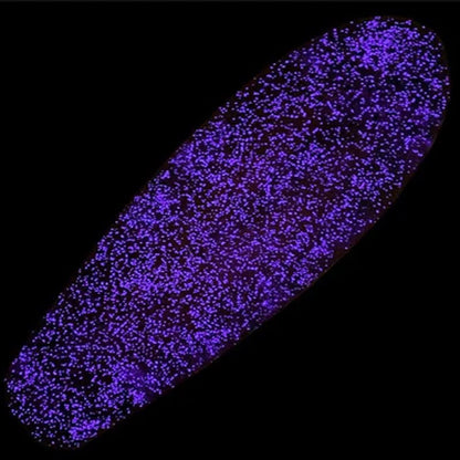 Lucid Grip - Glow - Purple Skateboard Grip Tape Lucid Grip