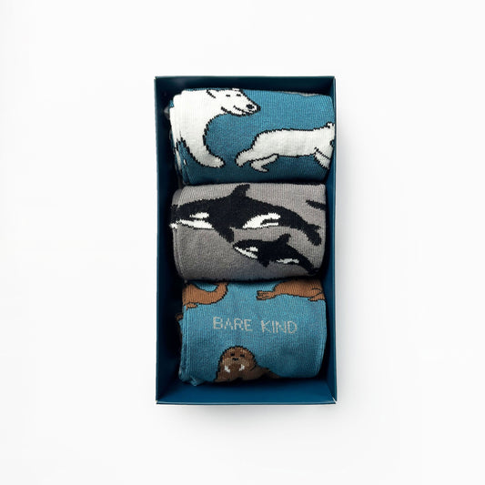 Arctic Animals Bamboo Socks Gift Box of 3 Socks Bare Kind