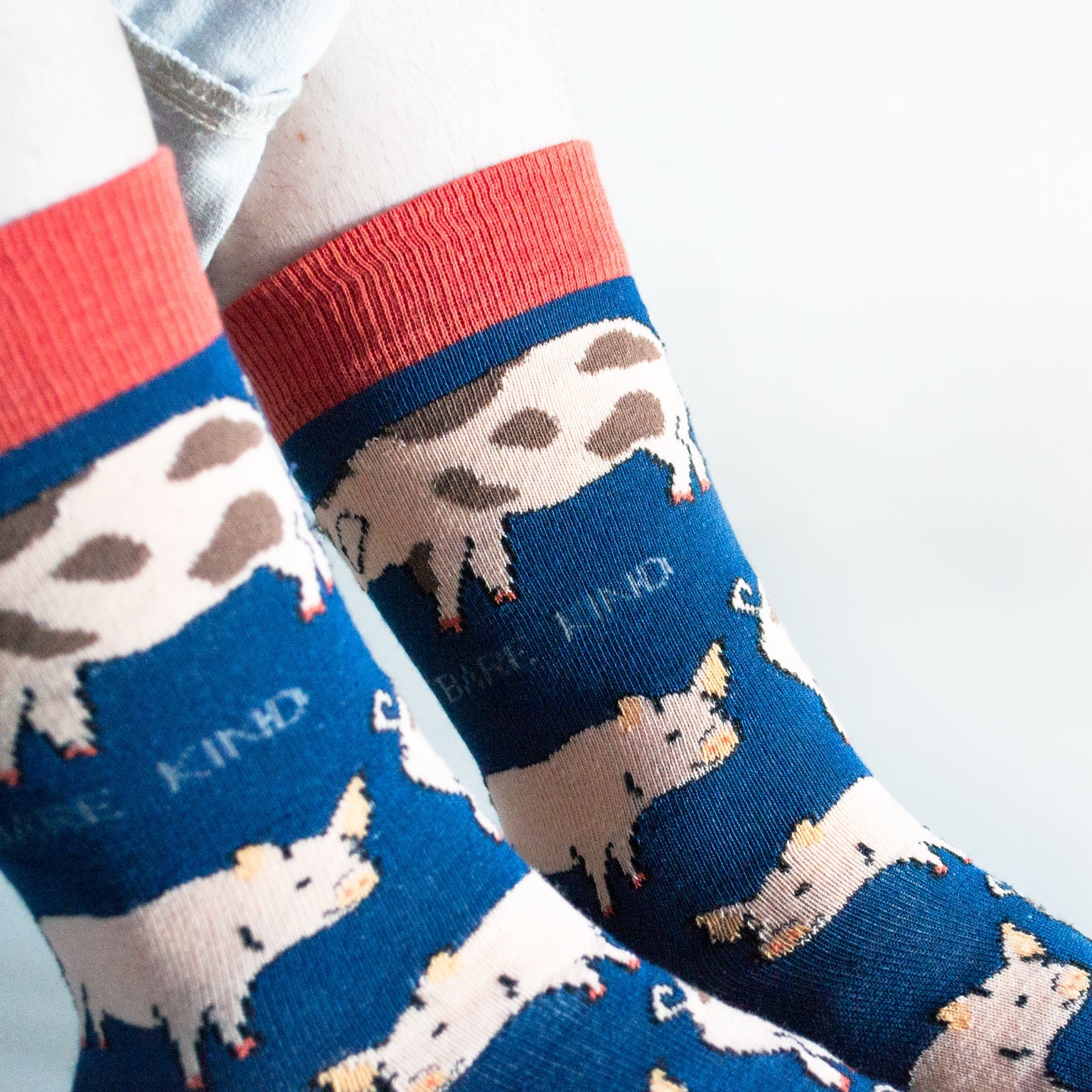 Save the Pigs Bamboo Socks Socks Bare Kind