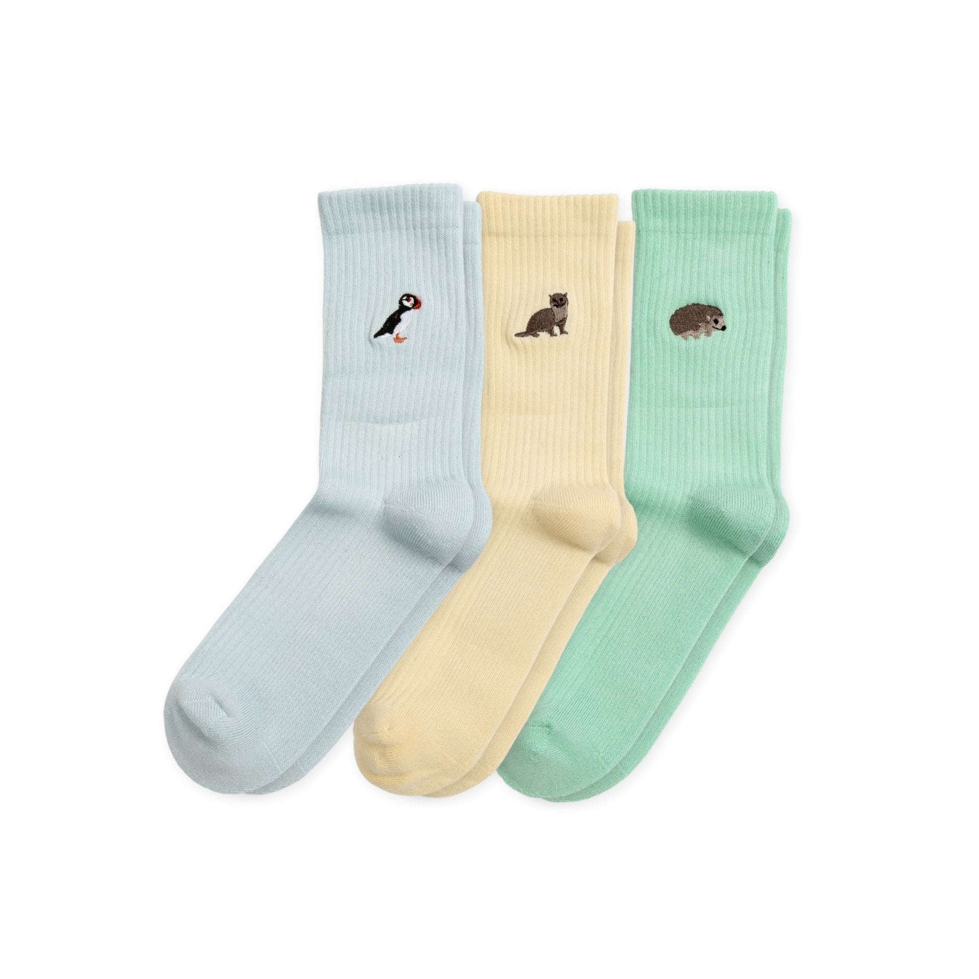 Ribbed Summer Sorbet Collection 3 Pack Ribbed Socks Bare Kind