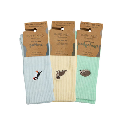 Ribbed Summer Sorbet Collection 3 Pack Ribbed Socks Bare Kind