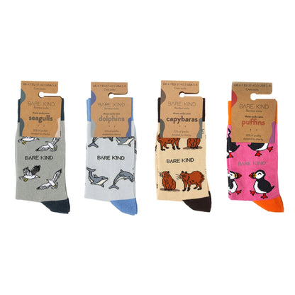 Animal Antics 4 Pack Bamboo Sock Set Socks Bare Kind