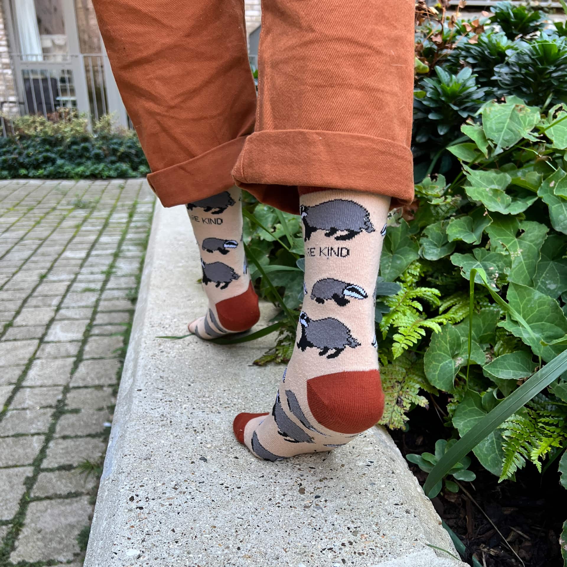 Save the Badgers Bamboo Socks Socks Bare Kind