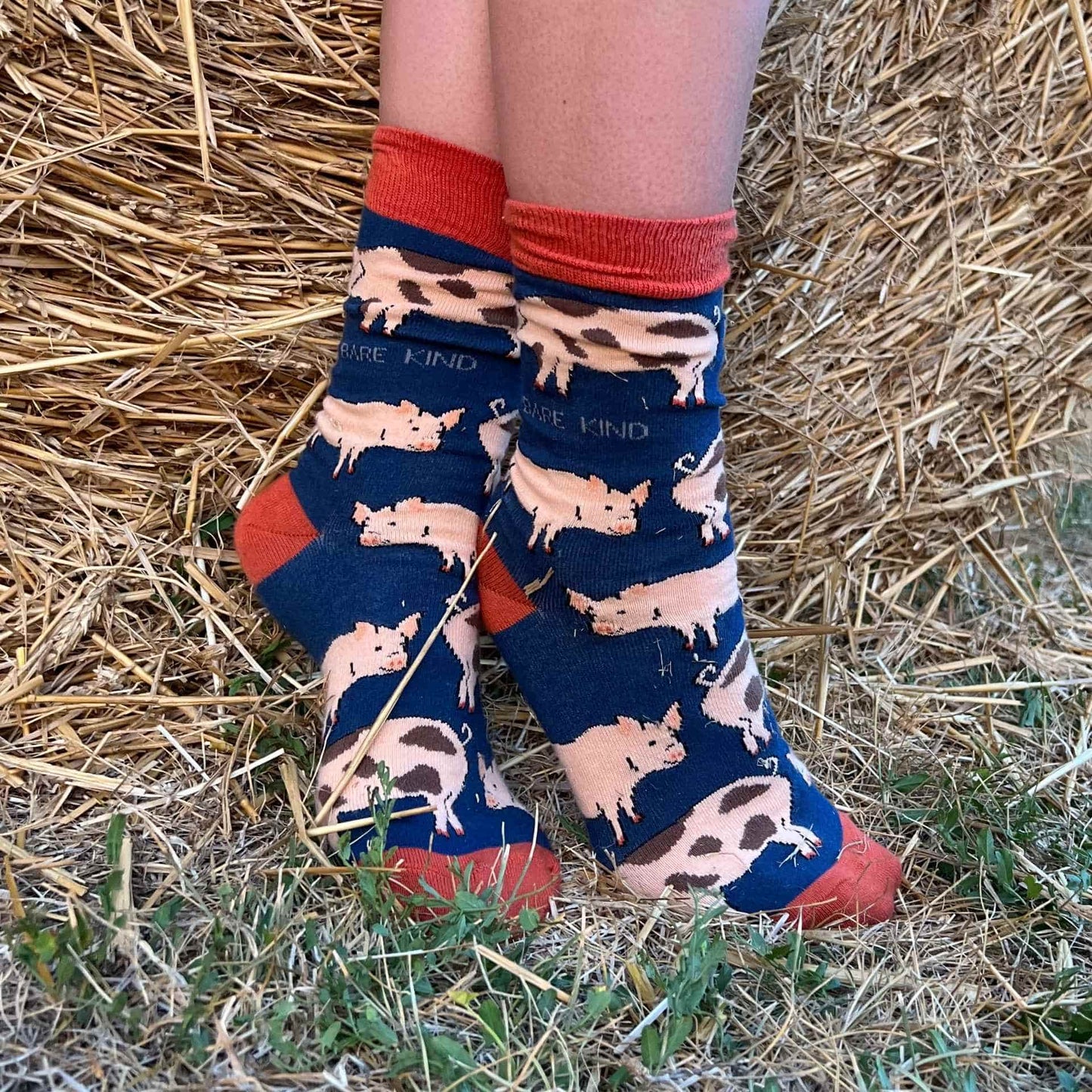 Farm Rainbow Bundle of 4 Bamboo Sock Set Socks Bare Kind