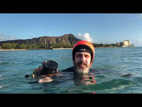 GATH GEDI Helmet White Gloss Helmet Gath